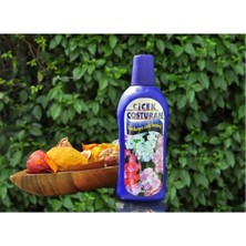 Coşturan Sardunya Özel Besini 600 ml