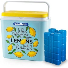 CLB24LM Limon Desenli Buzluk, 24 Litre + 2 Adet Buz Kaseti, 400GR