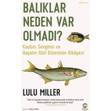 Storemax Oktaysell Balıklar Neden Var Olmadı?