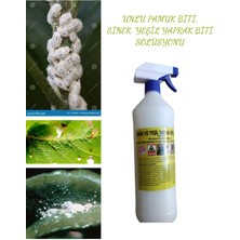 Armen Botanik Çiçek ve Bitkiler Için Unlu Pamuk Biti - Sinek ve Yaprak Biti Ilacı 1000 ml