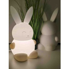 Kamer LED Işıklı Masa Lambası