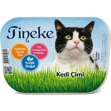 Storemax Oktaysell TİNEKE%100 Doğal Fileli Kedi Çimi (Tüy Yumağı Önleyici)