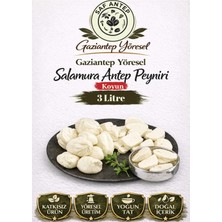 Gaziantep Yöresel Salamura Koyun Peyniri 3 Litre Doğal Geleneksel Ev Lezzeti