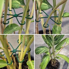 Storemax Oktaysell Bitki Gövde Sabitleme ve Destek Klipsi 4 Adet Yeşil