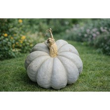 Altın Gıda 45 1 kg Dilimlenmiş Kendi Bahçemizden Bal Kabağı