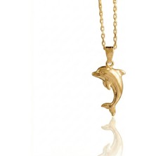 Ashak Accessories Kadın 925 Ayar Gümüş Zincirli Yunus Kolye