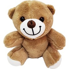 Sevimli Peluş Ayicik