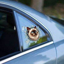 Derin Stok Fulcar Siamesse Araç Stickerı