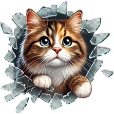 Derin Stok Fulcar Stray Araç Stickerı