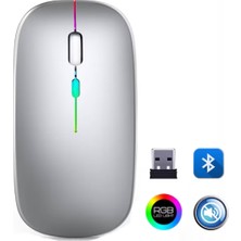 Vice Avm ZR215 Cba100 Rgb Gümüş Şarjlı Mouse TG-V 11133