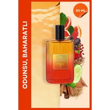 Aqua Di Polo 1987 Gran Paradiso Volcano EDP Erkek Parfüm 50ml | Odunsu, Baharatlı | Biber, Greyfurt, Safran