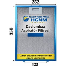 Hgnm E-Trading 25×35 cm Davlumbaz Yağ Filtresi 250x350 mm Aspiratör Süzgeç Kaset Tel Filtre