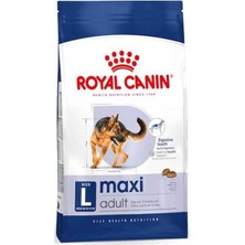 Royal Canin Maxi Adult Büyük Irk Yetişkin Köpek Maması 15 kg