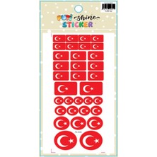 Tanex Bayrak Sticker Türk Bayrağı-2 Sticker - 3 Adet