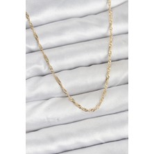 Esranın Dünyası Tegan cm 14K Gold Renk Yassı Burgulu Model Kadın Kolye TG27BKO10921