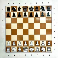 Akaslan Plastik Duvara Monte Dikey Satranç Seti Cburnett Design'dan ESINLENEREK-6903072 (Bu Ürün Sadece Plastik Parçadır - Almadan Önce Soru Sorabilirsiniz)