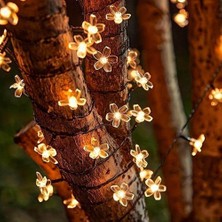 Esranın Dünyası Solar 5m 50 LED Papatya Gün Işığı 8 Fonksiyonlu