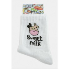 Zero Land Hnrlishp Inek Kolej Çorap 8*28 - Beyaz