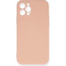 Hnrlishp Newface Iphone 12  Max Kılıf Nano Içi Kadife Silikon - Pudra