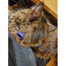 Akaslan Plastik Kediler Için Takip Cihazı Tasması Abs Baskı 06033 (Bu Ürün Sadece Plastik Parçadır - Almadan Önce Soru Sorabilirsiniz)