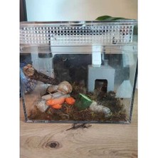 Akaslan Plastik Pet Şişe Bağlantı Adaptörü – 3D Baskı Sıvı Transfer Aparatı (Bu Ürün Sadece Plastik Parçadır - Almadan Önce Soru Sorabilirsiniz)