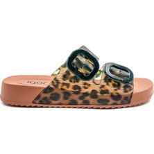 Igor Terlik Habana Leo Terracota BB350 Taba Leopar