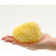 Bellini Deniz Süngeri - Banyo Süngeri Boyut:10