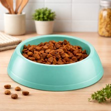 Eco Lounge Mikopet Küçük Yuvarlak Mama Kabı | Kedi Köpek Mama ve Su Kabı, Dayanıklı Pet Besleme Kabı