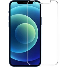 Apple iPhone 13 Pro Max Uyumlu Zore Nano Micro Temperli Ekran Koruyucu
