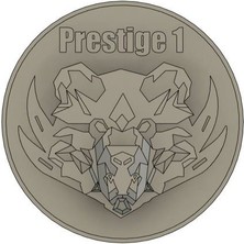 Akaslan Plastik Call Of Duty Mw3 2023 Prestige 1 Rozet Madeni Para (Bu Ürün Sadece Plastik Parçadır - Almadan Önce Soru Sorabilirsiniz)