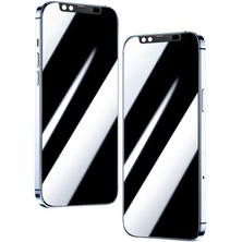 Apple iPhone 12 Pro Max Uyumlu Zore Secret Temperli Cam Ekran Koruyucu