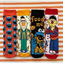 Al Bi 90Lık Al Bi 90'lık Susam Sokağı Edi Büdü Kurabiye Canavarı Elmo Çizgi Film Desenli 4'li Soket Çorap SetiGörseldeki aksesuarlar çekimler için kullanılmış olup ürüne dahil değildir.