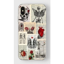 Mobilpad Iphone Xs Max Uyumlu Baskılı Yumuşak Silikon Şeffaf Telefon Kılıfı