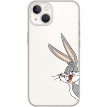 Mobilpad Iphone 13 Mini Uyumlu Baskılı Yumuşak Silikon Şeffaf Telefon Kılıfı