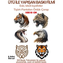 spldizayn Ütü ile Yapışan Dtf Transfer Baskı Kağıdı Tişört Pantolon Çorap Için Fotoğraf Baskısı 10X10 cm