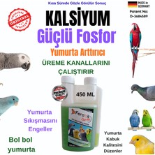 Feroxit Kuşlar Için Kalsiyum Fosfor Desteği | Yumurta Kabuğu Kalitesi, Üreme Desteği, Kuş Vitamini ve Mineral Takviyesi 450  ml