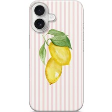 Mobilpad Iphone 16 Uyumlu Baskılı Yumuşak Silikon Şeffaf Telefon Kılıfı