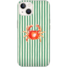 Mobilpad Iphone 15 Uyumlu Baskılı Yumuşak Silikon Şeffaf Telefon Kılıfı