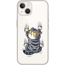 Mobilpad Iphone 13 Mini Uyumlu Baskılı Yumuşak Silikon Şeffaf Telefon Kılıfı