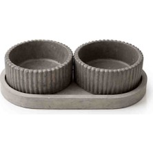 Modern Beton Saksı Seti 2’li – Tepsili Dekoratif Sukulent Saksılığı – El Yapımı Minimal Tasarım