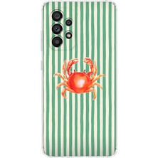 Mobilpad Samsung Galaxy A73 Uyumlu Baskılı Yumuşak Silikon Şeffaf Telefon Kılıfı