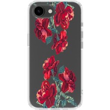 Mobilpad Iphone 16E Uyumlu Baskılı Yumuşak Silikon Şeffaf Telefon Kılıfı