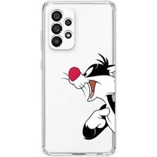 Mobilpad Samsung Galaxy A73 Uyumlu Baskılı Yumuşak Silikon Şeffaf Telefon Kılıfı