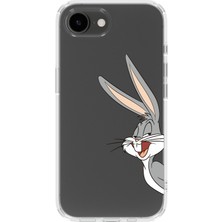 Mobilpad Iphone 16E Uyumlu Baskılı Yumuşak Silikon Şeffaf Telefon Kılıfı