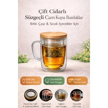 Berdina Home Süzgeçli Cam Kupa Bardak Çift Cidarlı Isı Yalıtımlı Bambu Kapaklı Bitki Çayı Fincanı Seti