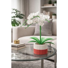 Kuki Garden Dekoratif Saksılı Yapay Orkide – Tasarım Masa Üstü Çiçek Dekoru