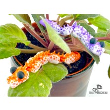 Akaslan Plastik Flexi Bebek Yılan Anahtarlık (Bu Ürün Sadece Plastik Parçadır - Almadan Önce Soru Sorabilirsiniz)