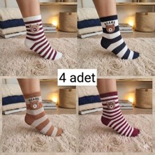 Trend Nexus 4 Çift Yumoş Ayıcıklı Kolej Çorap