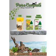 Purecanpati Kaplumbağa Bakım Seti – Raffy Mineral Yem + Kaplumbağa Vitamini + Kabuk Güçlendirici Turtle Clean
