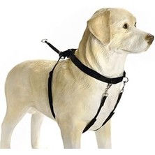 SHC4200 Beeztees Köpek Yürüyüş Eğitim ve Düzeltme Tasması, L